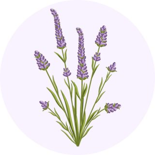 Lavender Design Sticker