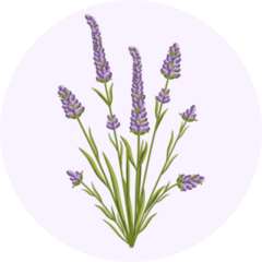 Lavender Design Sticker