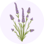 Lavender Design Sticker
