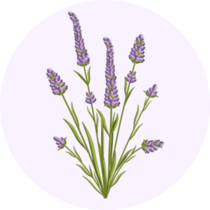 Lavender Design Sticker