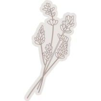 Lavender Drawing Sticker