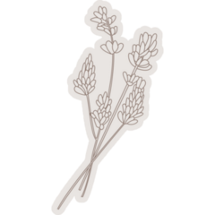 Lavender Drawing Sticker