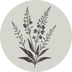 Lavender Drawing Sticker