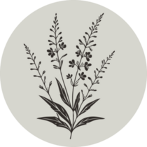 Lavender Drawing Sticker