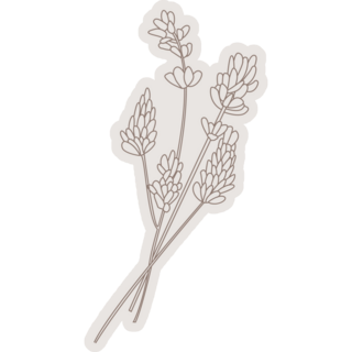 Lavender Drawing Sticker