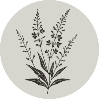 Lavender Drawing Sticker