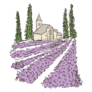 Lavender Farm Sticker