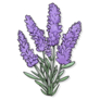 Lavender Flower Sticker