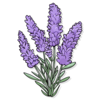 Lavender Flower Sticker