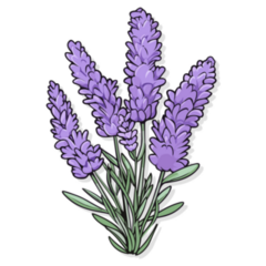 Lavender Flower Sticker