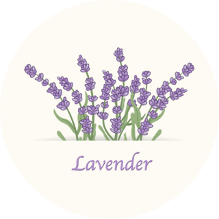 Lavender Flowers Sticker