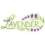 Lavender Font Logo Sticker