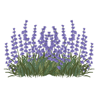 Lavender Hand Drawn Sticker