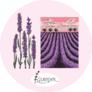 Lavender Landscape Sticker