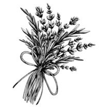 Lavender & Leaves Sticker