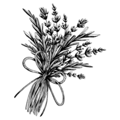 Lavender & Leaves Sticker