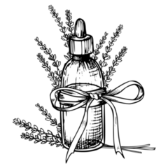 Lavender Oil Sketch Sticker