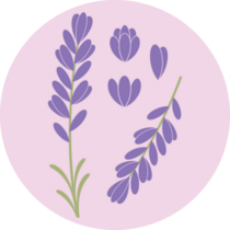 Lavender On Lavender Sticker
