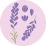 Lavender On Lavender Sticker