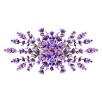 Lavender Painted Sticker