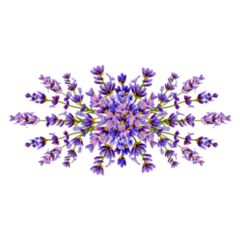 Lavender Painted Sticker