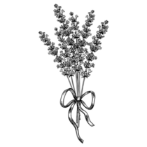 Lavender Ribbon Bow Sticker