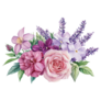 Lavender Rose Sticker