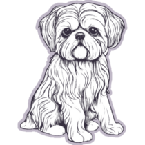 Lavender Shih Tzu Sticker