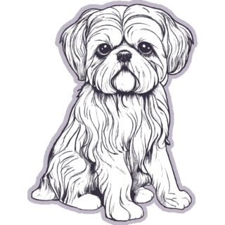 Lavender Shih Tzu Sticker