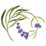 Lavender Stems Sticker