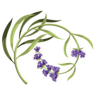 Lavender Stems Sticker