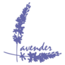 Lavender Word Logo Sticker