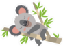 Lazy Koala Sleeping On A Branch Sticker
