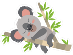 Lazy Koala Sleeping On A Branch Sticker