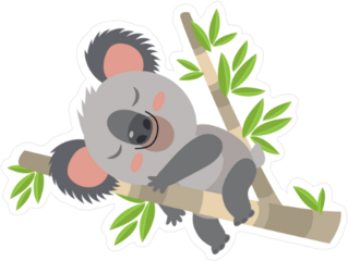 Lazy Koala Sleeping On A Branch Sticker