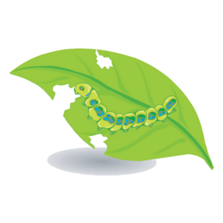 Leaf And Caterpillar Illustration Sticker