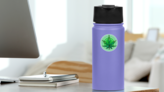 Leaf Of Marijuana Illustration Isolated On White Sticker on a Water Bottle (New) example