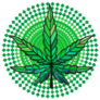 Leaf Of Marijuana Illustration Isolated On White Sticker