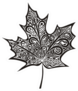 Leaf Pattern Illustration Sticker