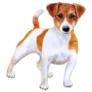 Leaning Jack Russel Sticker