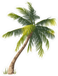 Leaning Palm Tree Sticker