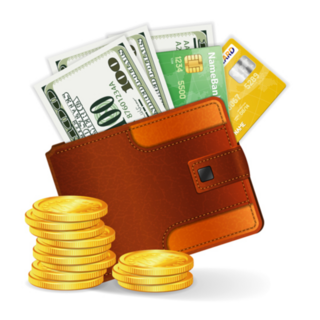 Leather Wallet with Lots of Money Sticker