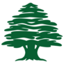 Lebanese Cedar Tree Sticker