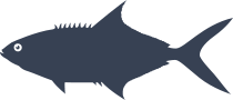 Leerfish Fish Sticker