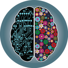 Left And Right Side Of The Brain Logic And Creativity Sticker