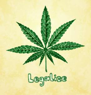 Legalize Marijuana Hemp Leaf Sticker