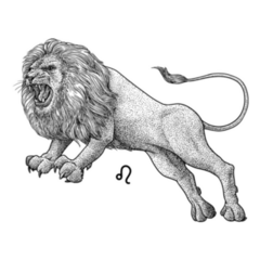Leo Zodiac Lion Sketch Sticker 