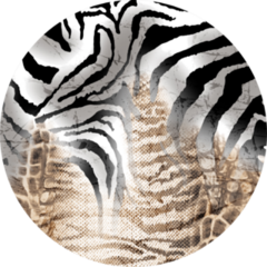 Leopard And Zebra Pattern Sticker