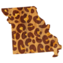 Leopard Print. State Missouri Sticker