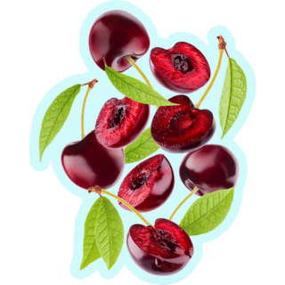 Levitation Cherries Blue Sticker